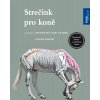 Strečink pro koně - Gillian Higginsová