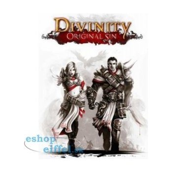 Divinity: Original Sin (Enhanced Edition)