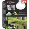 Žiarovka Repti Planet Daylight Frosted 75 W