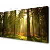 Obraz na plátne Les príroda 100x50 cm