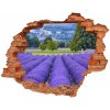 Nálepka 3D diera na stenu Pole levanduľa 90x70 cm