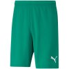 Trenky Puma teamRISE Short M 704942 05