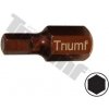 TRIUMF Bit Inbus, 10 mm driek, dĺžka 30 mm 6 mm