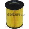 Vzduchový filter PURFLUX A1297