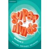 Super Minds Level 3 Workbook
