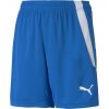 Juniorské šortky Puma, TEAMLIGA SHORTS JR modrá,biela 176