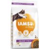 Iams Cat Kitten Chicken 2 kg