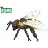 Atlas Včela medonosná 7 cm