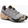 Pánske bežecké topánky Salomon Speedcross 6 GTX gull/white pepper/black