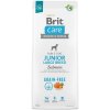 Brit Care Grain-free Junior Large Breed Salmon 12 kg