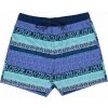 Santa Cruz plavky Heights Swimshorts Winkowski Vertigo