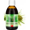 Sirup z borovicových púčikov pre dospelých a deti od 4 rokov 120 ml
