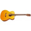 TANGLEWOOD TW40OANE