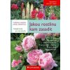 Jakou rostlinu kam zasadit - Hagen,Borstell Ursel, Thomas