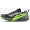 Salomon SENSE RIDE 5 EUR 48