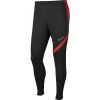 Nike Dri-FIT Academy Pro Dri-FIT Academy Pro