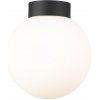 Zuma Line C0574-01D-P7AA prisadené stropné svietidlo ARCTURUS | 4W G9
