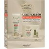 Alfaparf Milano Il Salone Milano Alfaparf Milano Il Salone Milano Scalp System energizujúci šampón proti padaniu vlasov 250 ml + Alfaparf Milano Il Salone Milano Scalp System energizujúce sérum proti