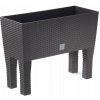 Prosperplast DRTC600H truhlík