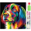 Diamantové maľovanie pes 30X30CM