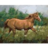 Diamondi Diamantové maľovanie - HNEDÝ KÔŇ NA PASTVE V LESE Rámovanie: vypnuté plátno na rám, Rozmer: 40x50 cm