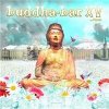 VAR - Buddha Bar 15 2013 (2 CD)