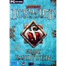 Hra na PC Icewind Dale + Hearts of Winter