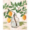 ZUTY Maľovanie podľa čísel - CITRÓNY VO VÁZE 2 (HALEY BUSH) Rámovanie: vypnuté plátno na rám, Rozmer: 80x100 cm