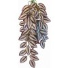 Tradescantia zebrina 50 cm - rastlina do terárií HapPet