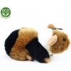 Rappa Plyšové morča, 17 cm, ECO-FRIENDLY