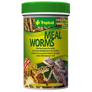 Tropical Meal Worms 100 ml