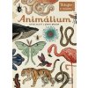 Animálium - Katie Scott (ilustrácie), Jenny Broom (ilustrácie)