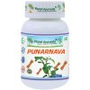 Planet Ayurveda Punarnava - zdravie pečene a obličiek 60 kapsúl