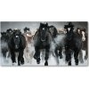 Foto obraz akrylové sklo Kone v cvale 100x50 cm