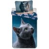 Universal design Obliečky fototlač Dark Cat Varianta: Plátenná fototlač Dark Cat 140x200, 70x90 cm