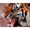 Diamondi Diamantové maľovanie MODRÉ TIGRIE OČI 40 x 50 cm bez rámu a bez vypnutia plátna
