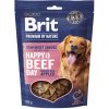 BRIT Premium by Nature SM Snacks Beef 180 g
