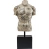 Torso Tattoo Socha šedá