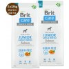Brit Care Grain-free Junior Large Breed Salmon 2 x 12 kg