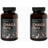 Herbatica Zvýhodnený set: 2 x Čaga sibírska FORTE - 60 vegánskych kapsúl (600mg/ kapsula) -