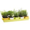 Plastkon Minigarden 60 Spring Mix