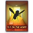 Fly In The House