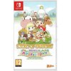 Hra na konzole Story of Seasons: Friends of Mineral Town - Nintendo Switch (5060540770554)