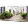Foto obraz na plátne Očarujúcá ulička 100x50 cm