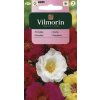 VILMORIN Portulaka veľkokvetá mix 211