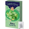 LEROS Čaj bylinný Čajová náruč mäta prieporná 20 x 1g