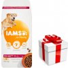 IAMS-Dry krmivo Vitality pre staršie psy veľkých plemien, s kuracím mäsom 12kg + prekvapenie pre vášho psa GRATIS