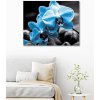 ZUTY Obrazy na stenu - Modrá orchidea Rámovanie: vypnuté plátno na rám, Rozmer: 80x100 cm