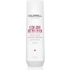 Goldwell Dualsenses Color Extra Rich šampón pre ochranu farbených vlasov 250 ml