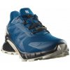 Salomon Supercross 4 GTX M L47976000 - poseidon/black/lunar rock 46 2/3